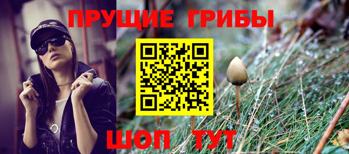 Галлюциногенные грибы Cubensis Истра