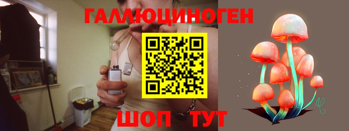 Псилоцибиновые грибы Magic Shrooms  Вход с VPN  продажа наркотиков  Истра 